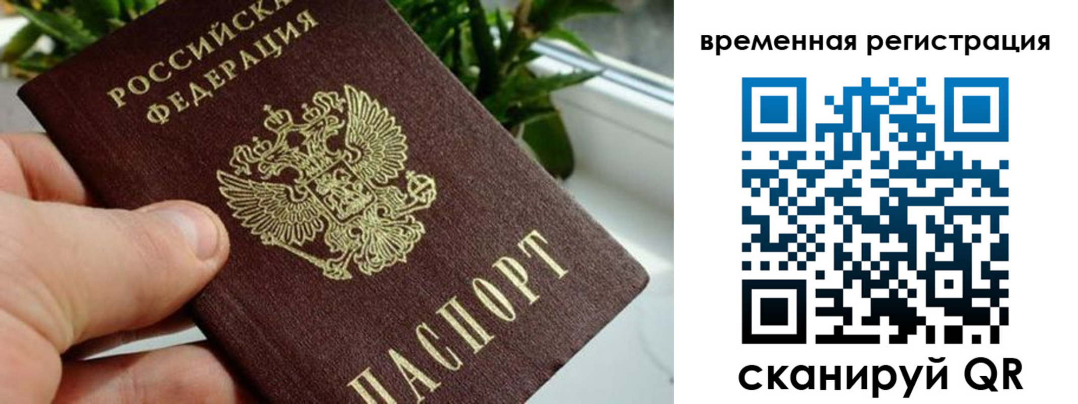 прописка поиск в Кировской области